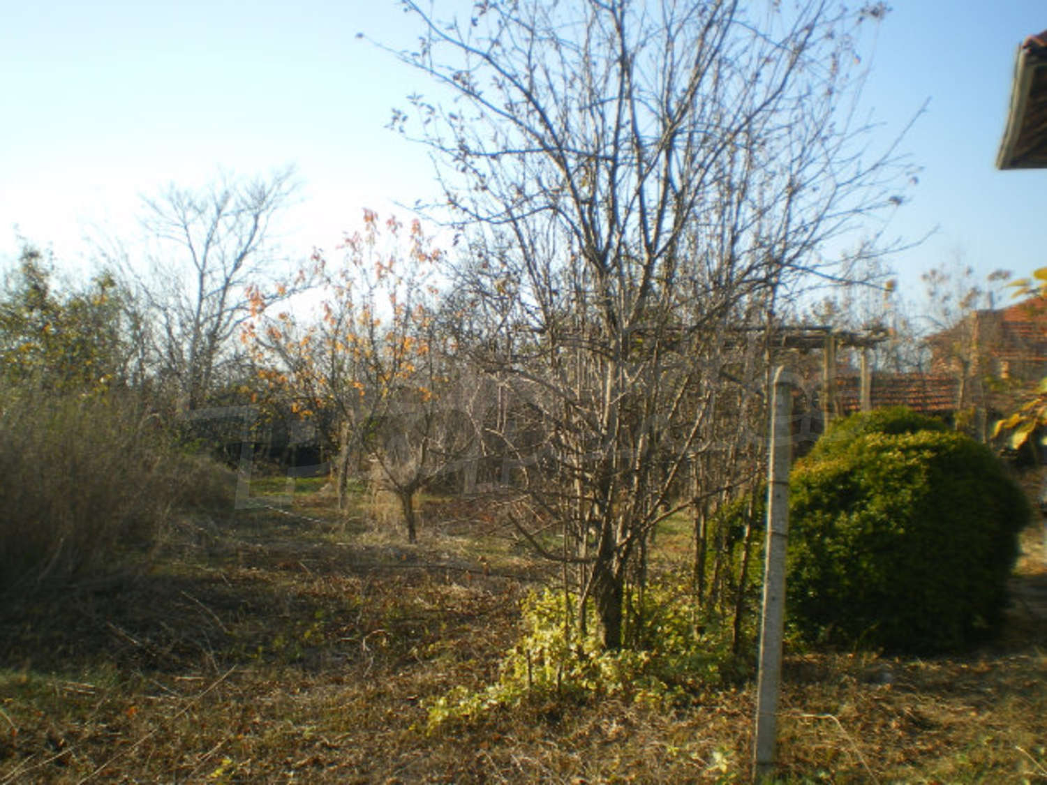 Gallery Picture 15