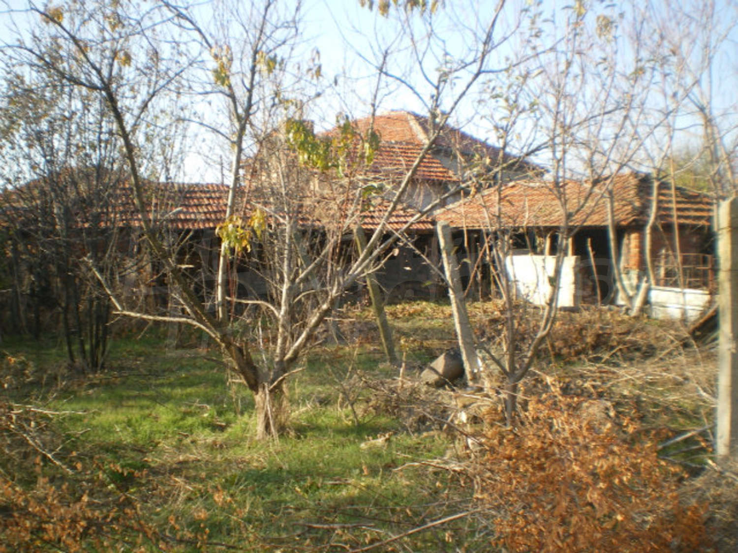 Gallery Picture 16