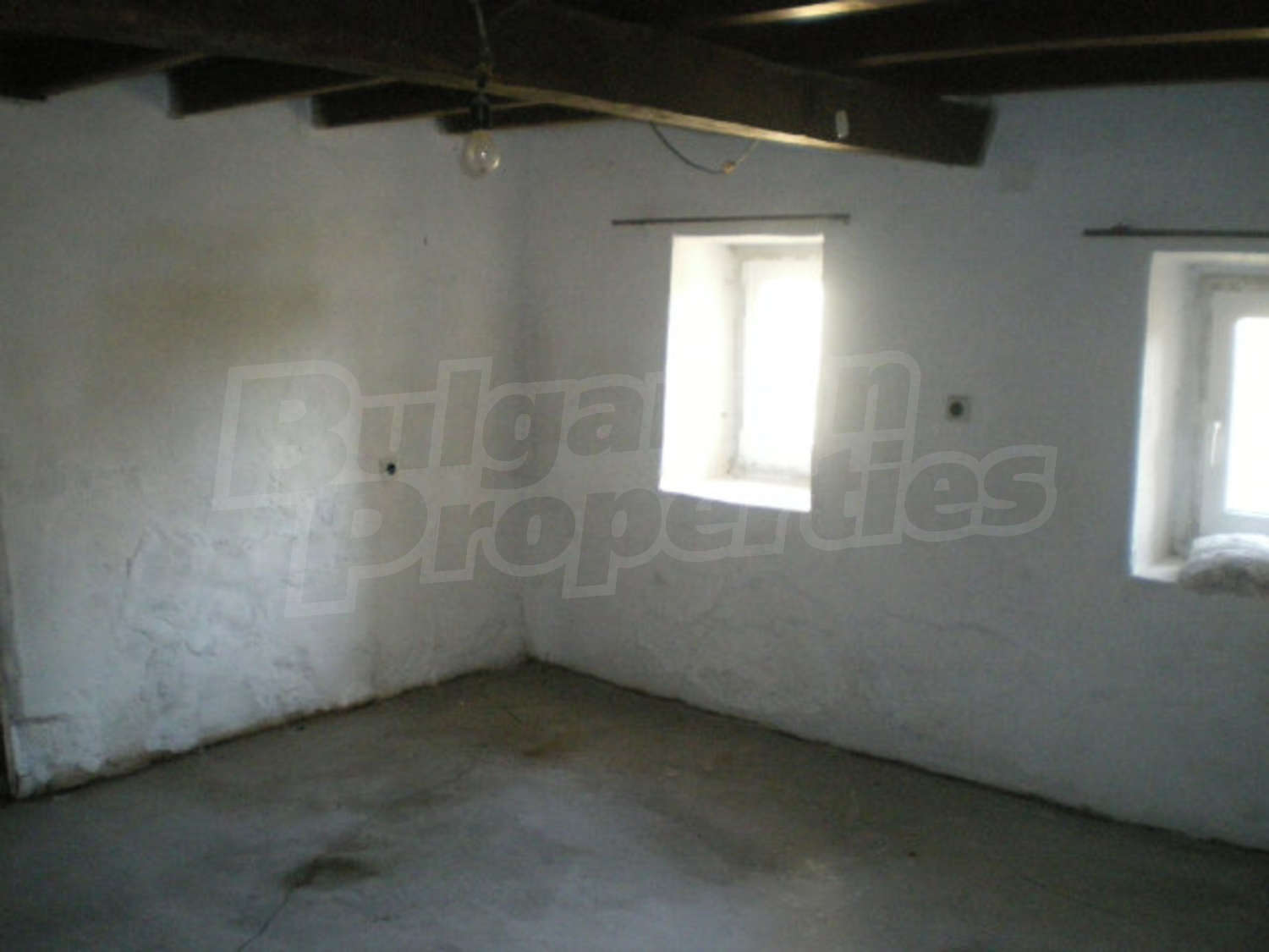 Gallery Picture 5