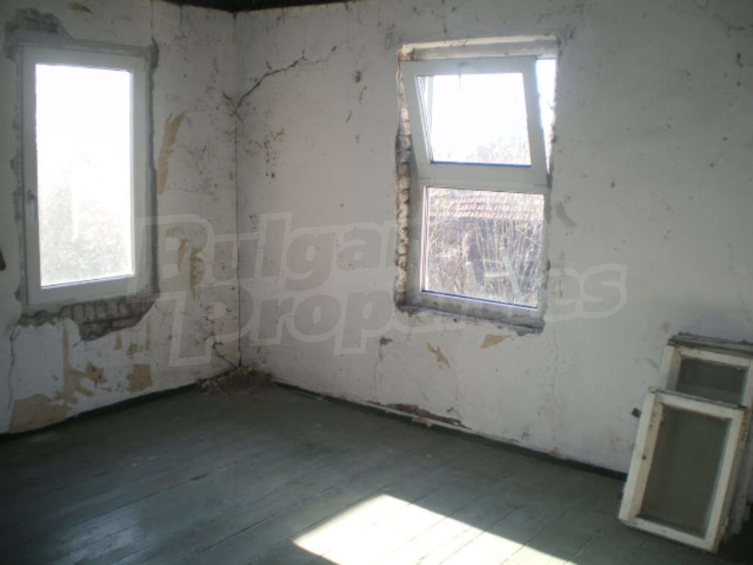 Gallery Picture 8