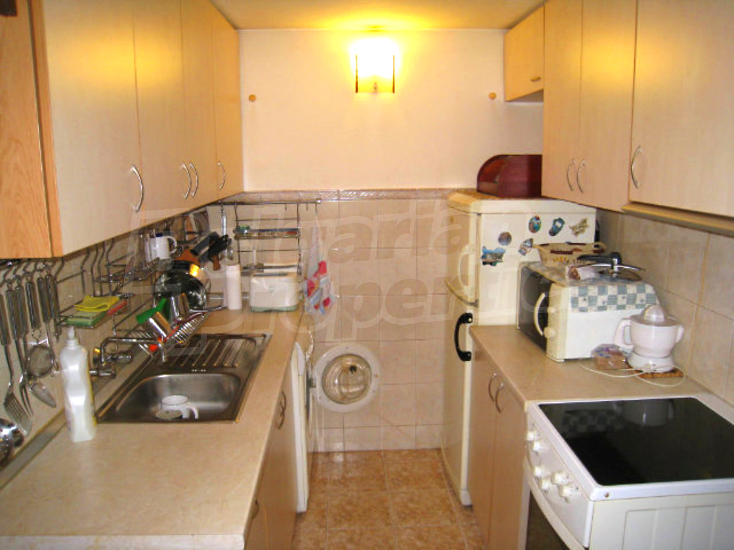 Gallery Picture 19