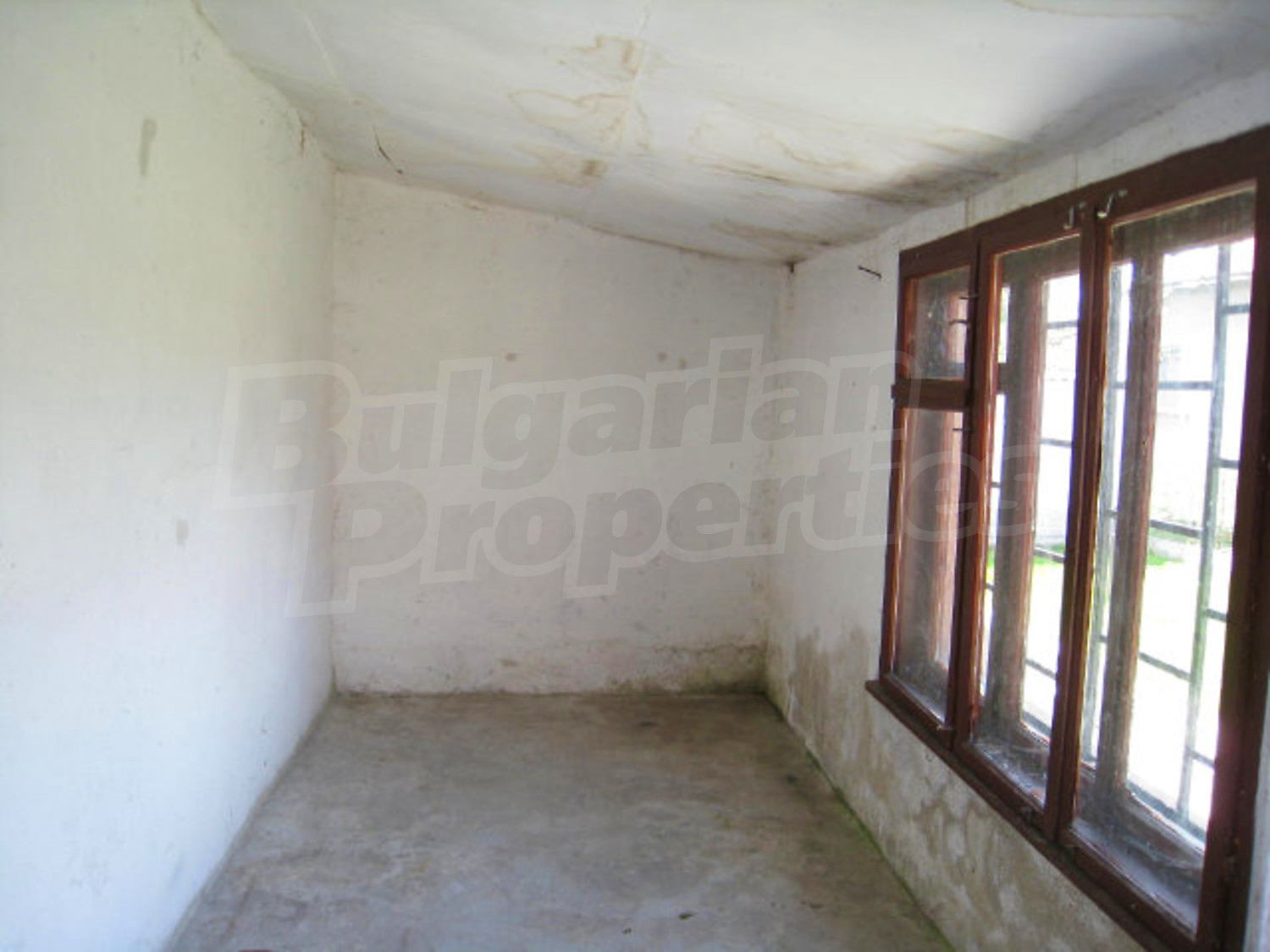 Gallery Picture 25