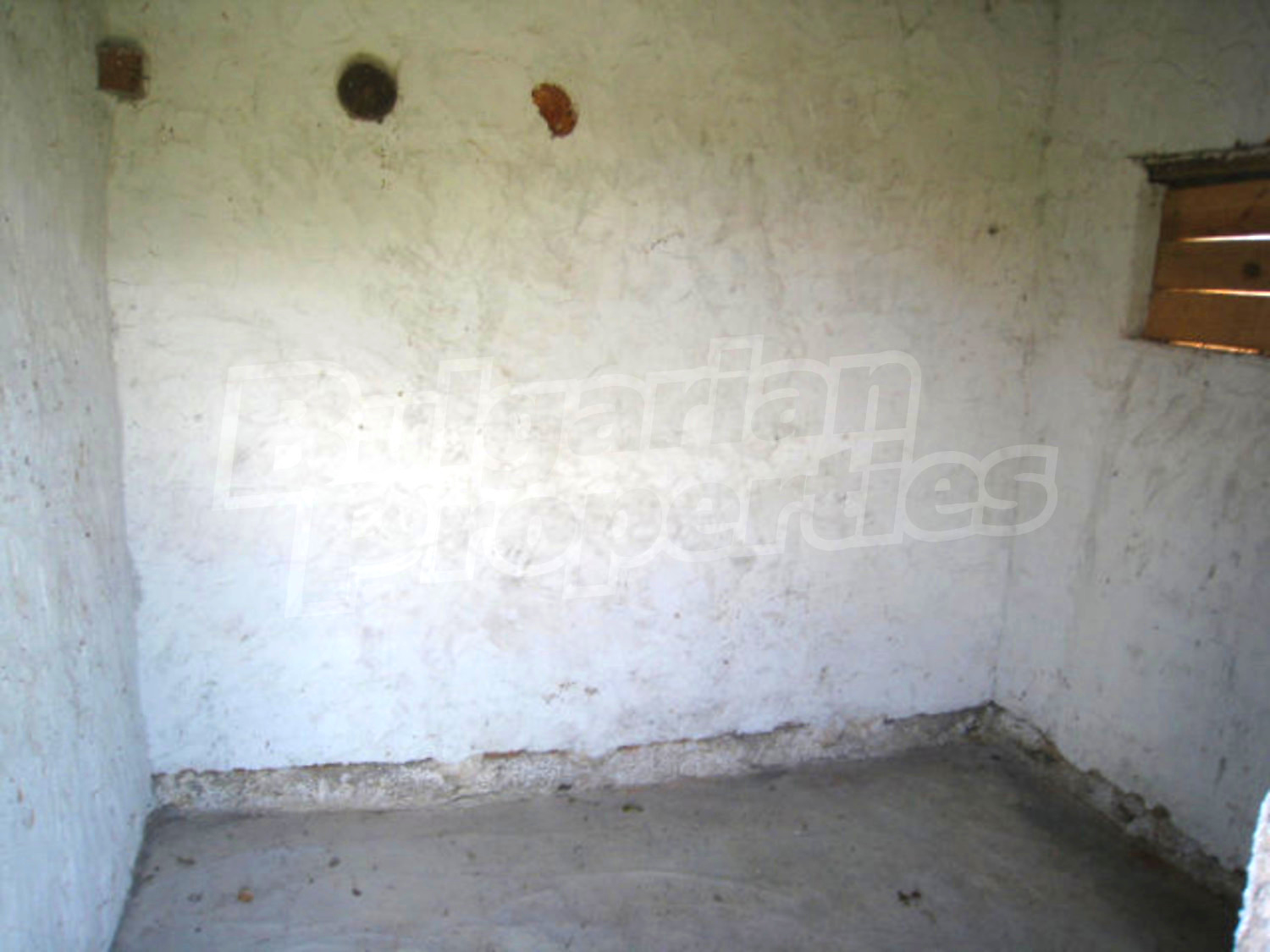 Gallery Picture 26