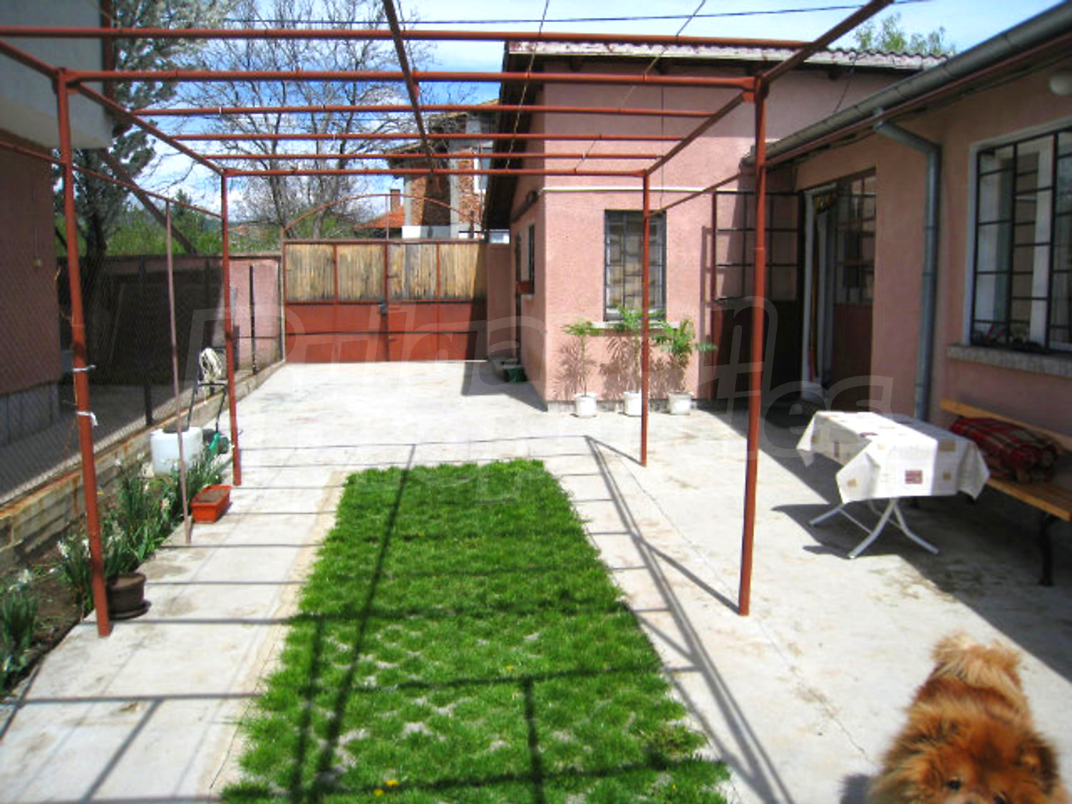 Gallery Picture 6