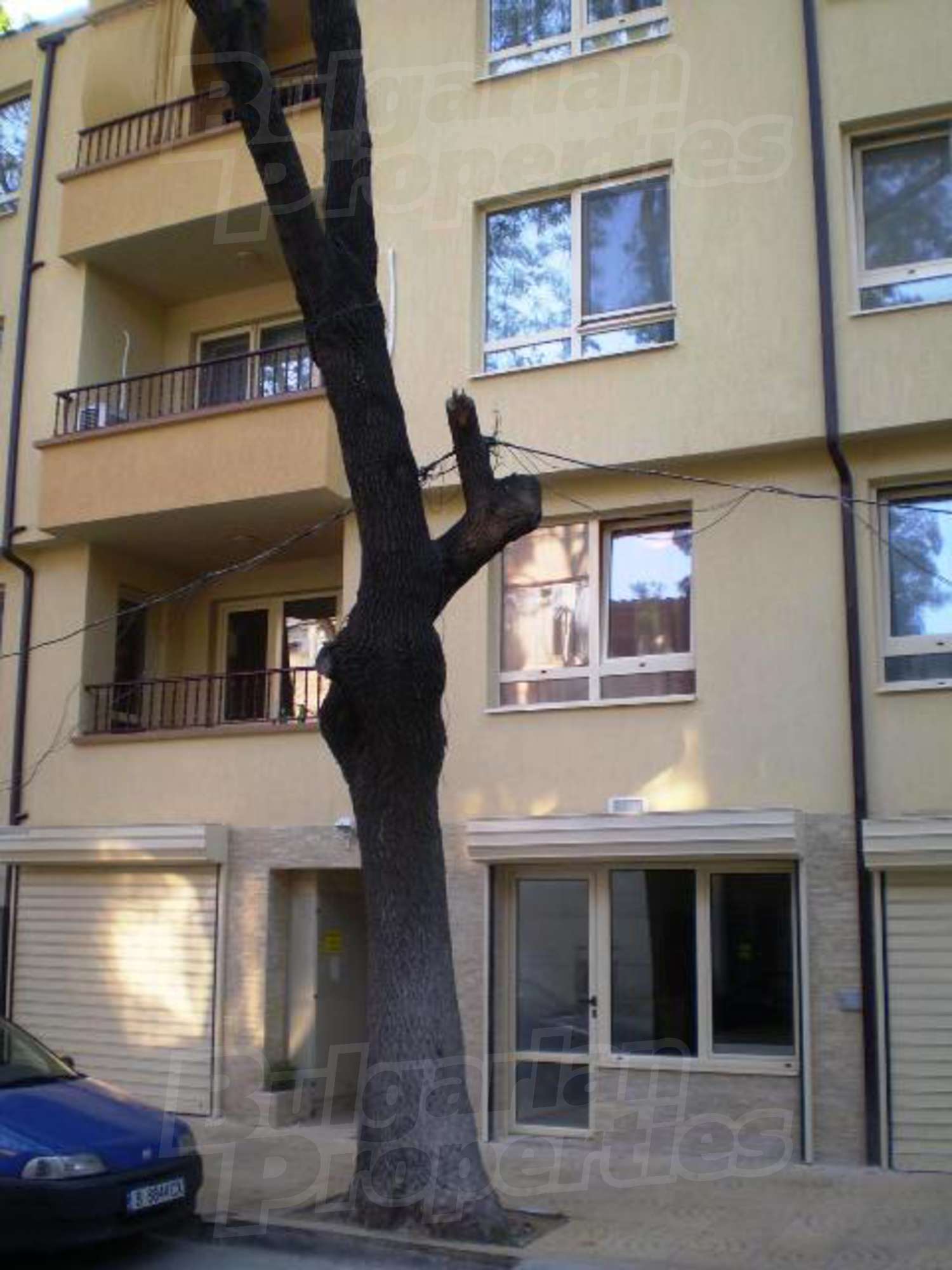 Gallery Picture 5