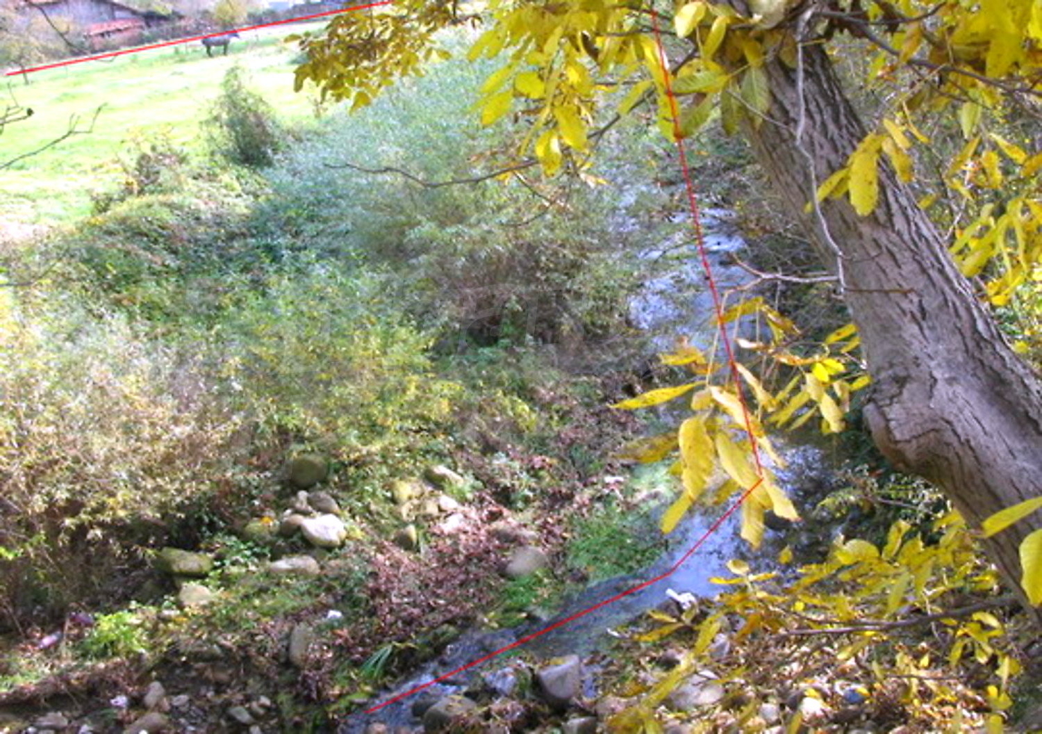 Gallery Picture 10
