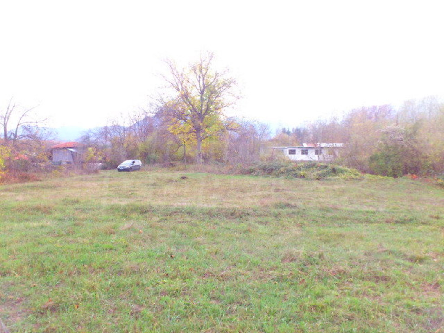 Gallery Picture 14