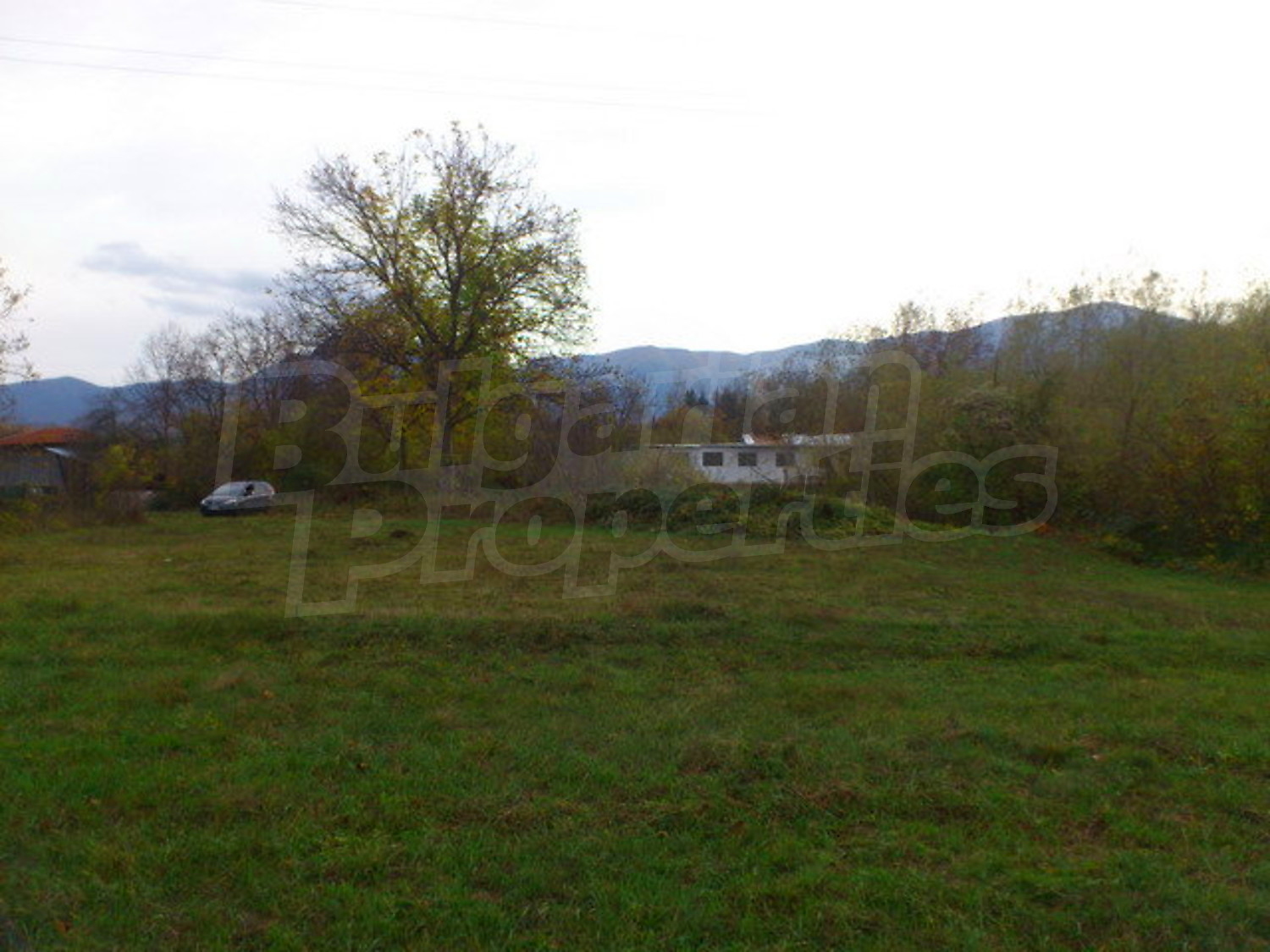 Gallery Picture 15