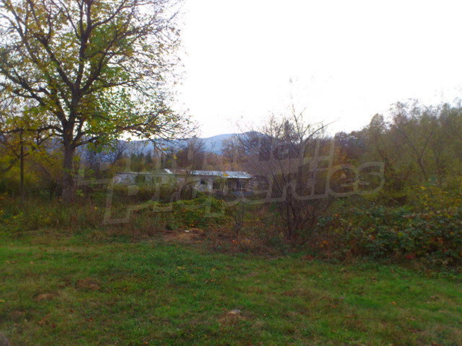 Gallery Picture 16