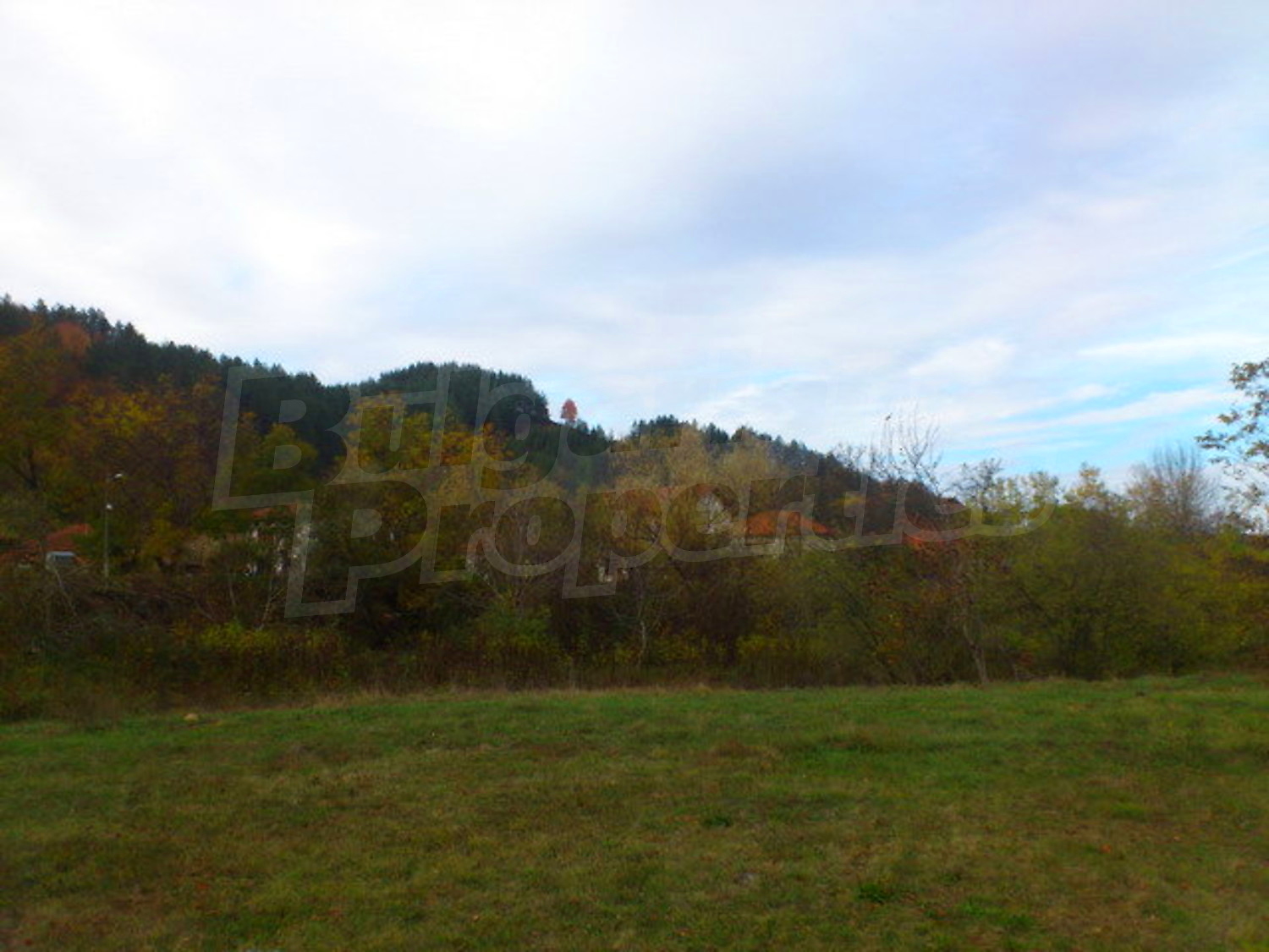 Gallery Picture 18