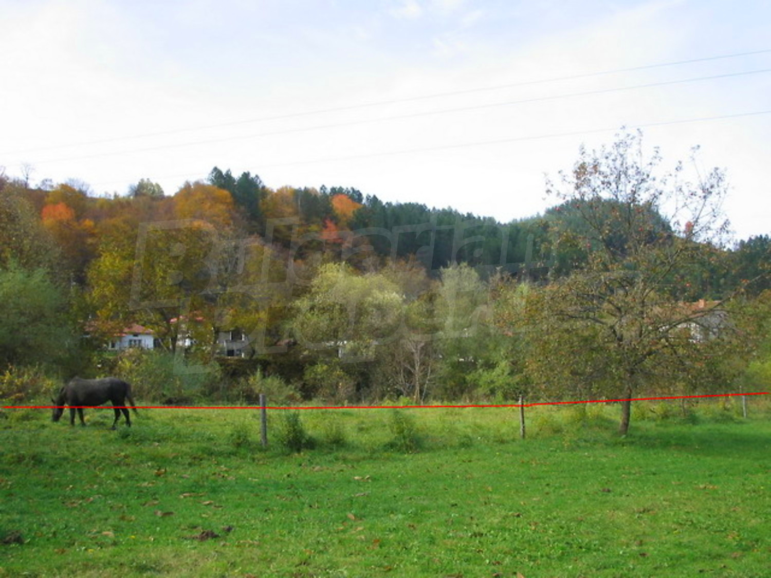 Gallery Picture 4