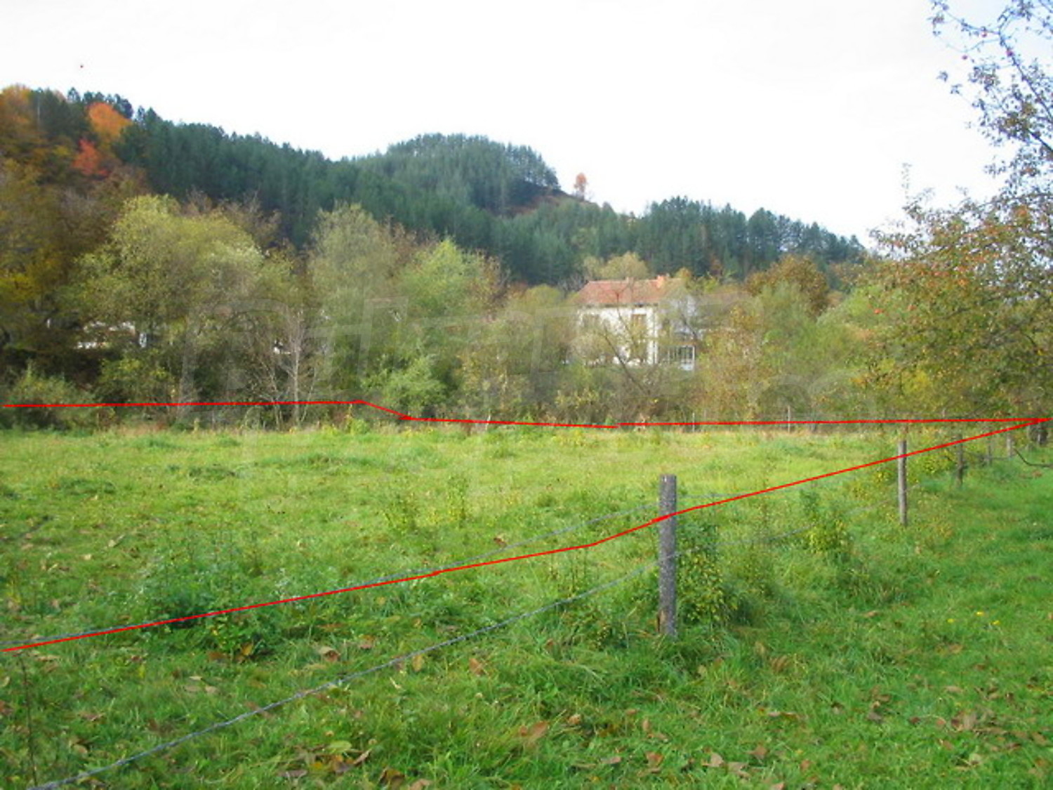 Gallery Picture 8