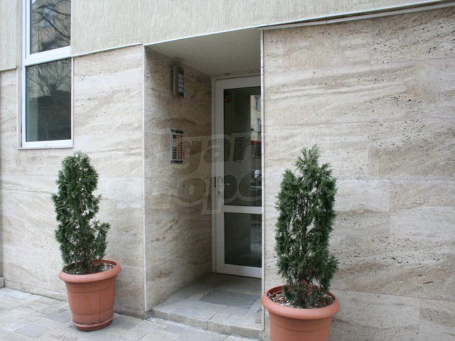 Gallery Picture 14