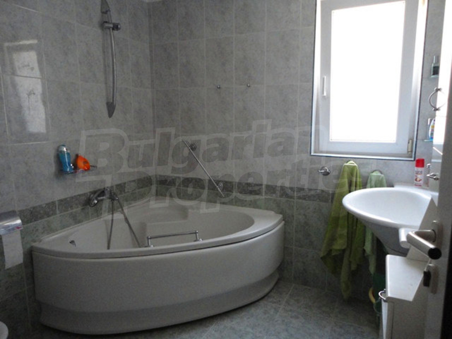 Gallery Picture 23