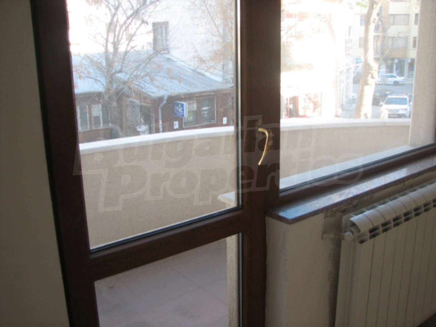 Gallery Picture 10