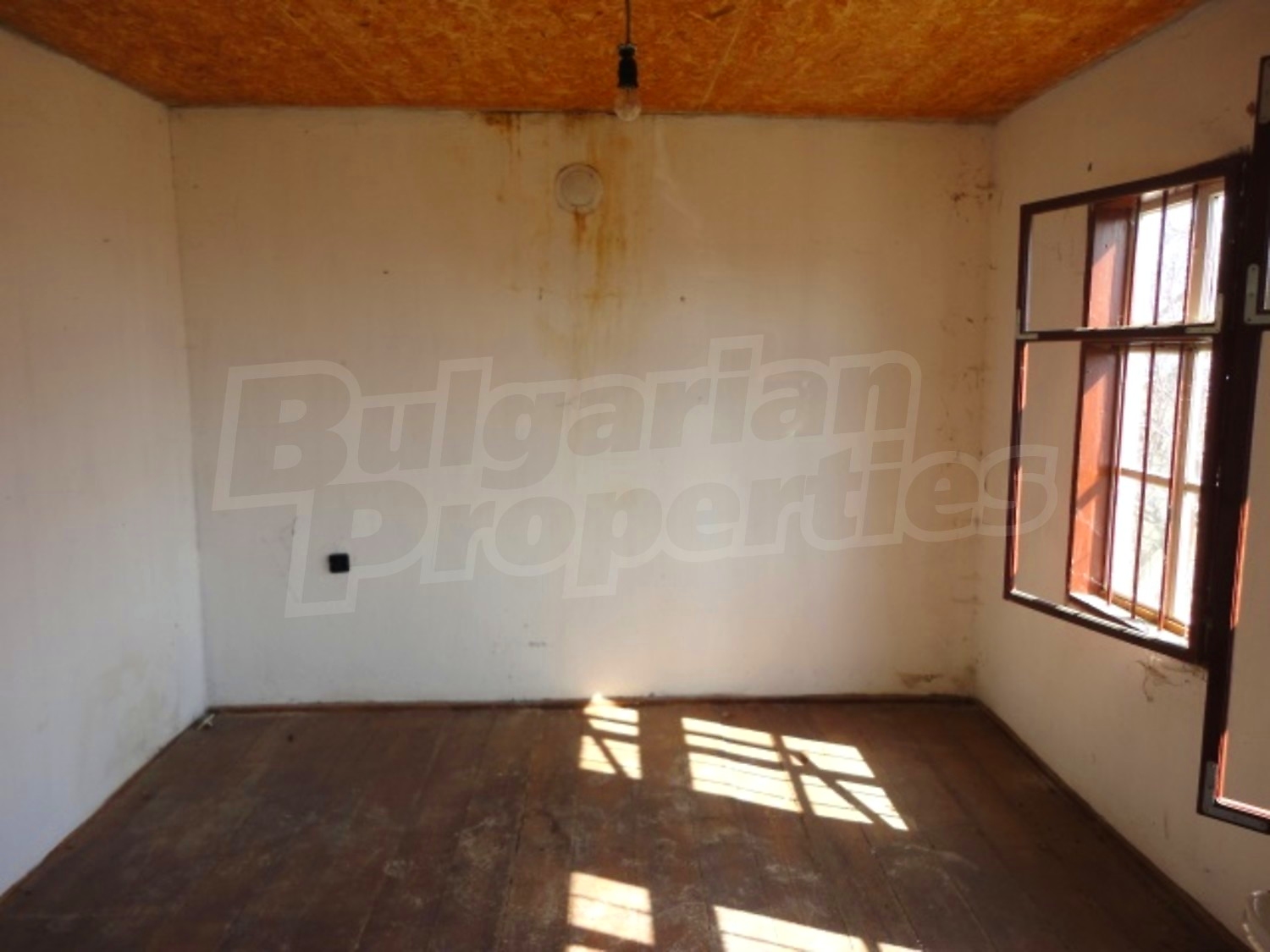 Gallery Picture 12
