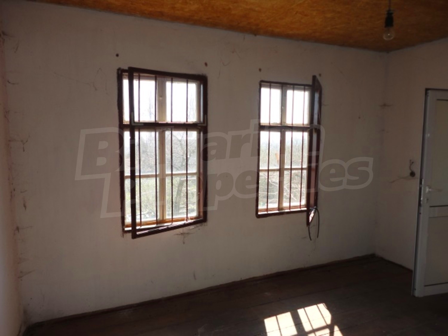 Gallery Picture 13