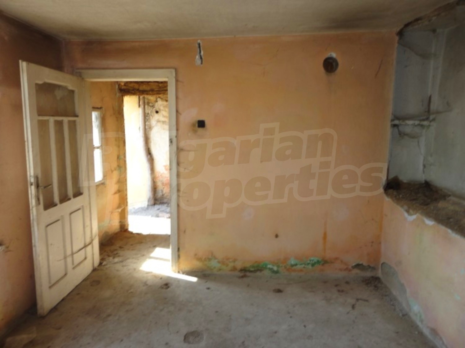 Gallery Picture 19
