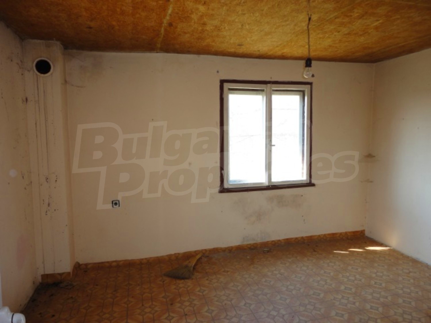 Gallery Picture 8