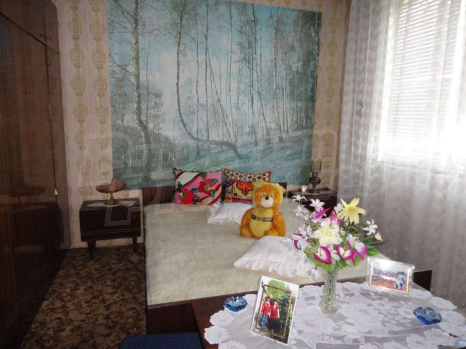 Gallery Picture 14
