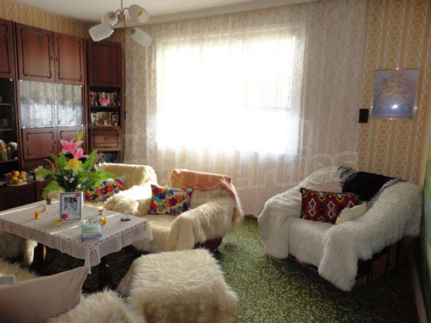Gallery Picture 15