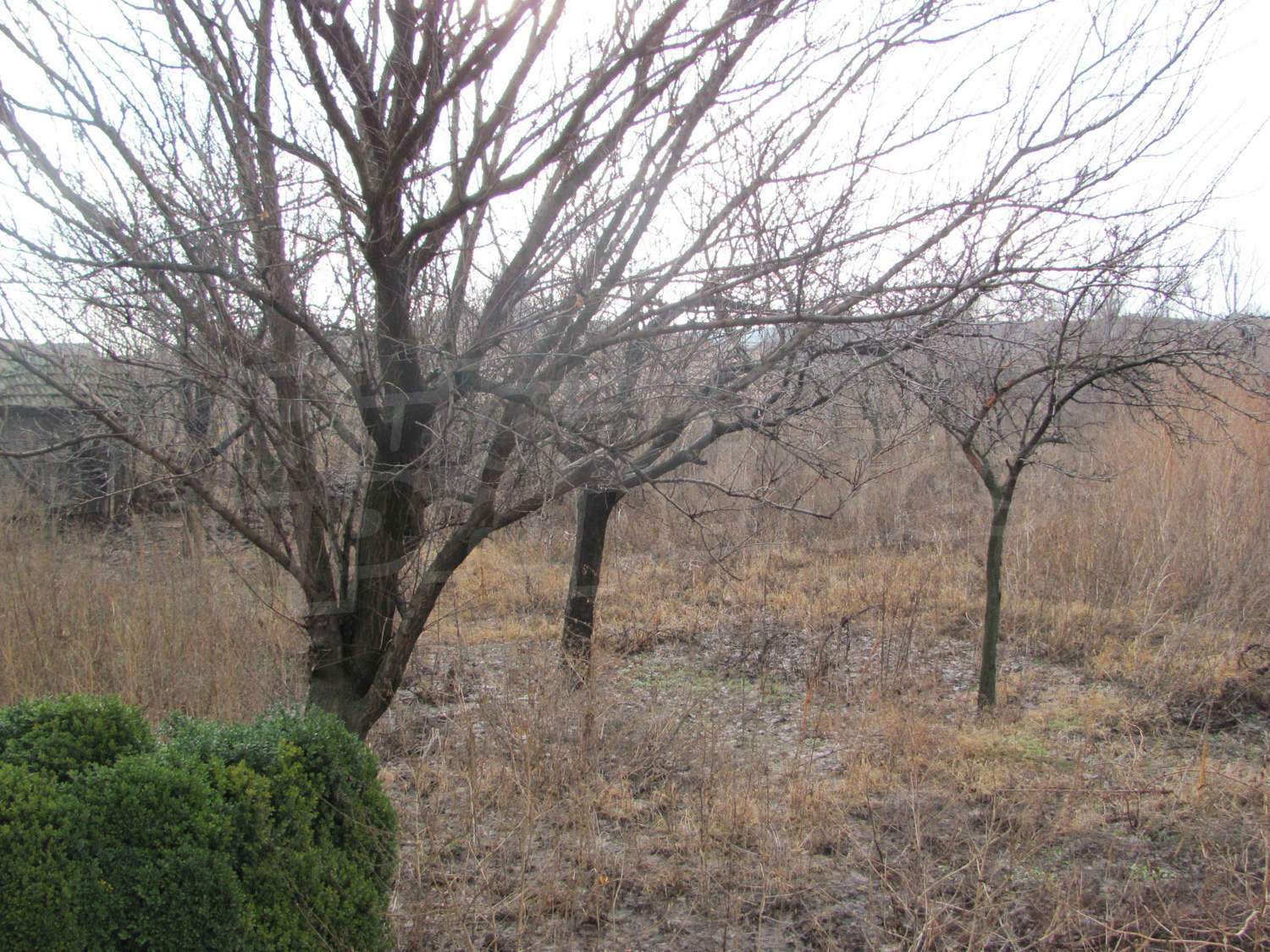 Gallery Picture 10