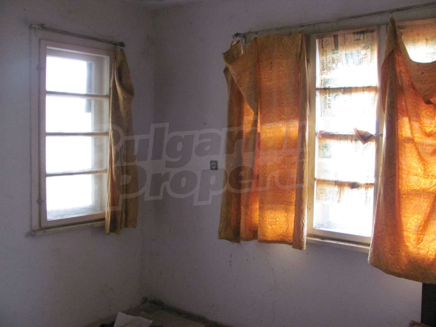 Gallery Picture 15
