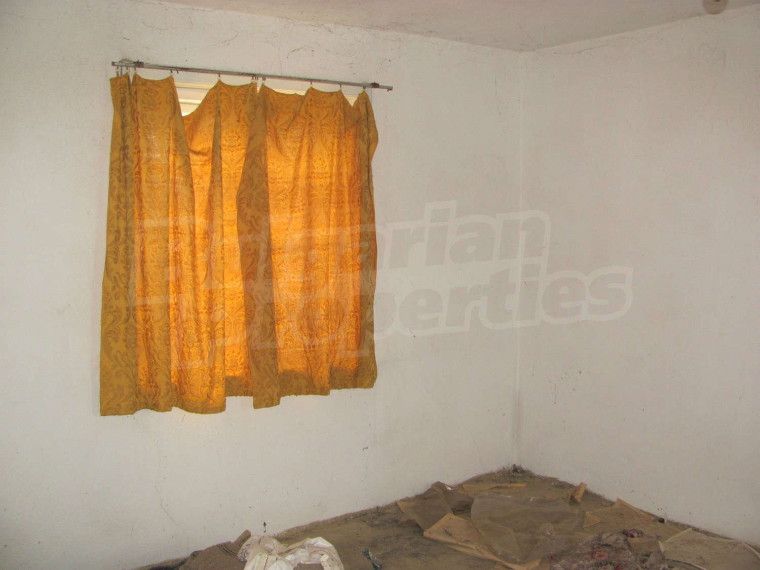 Gallery Picture 16