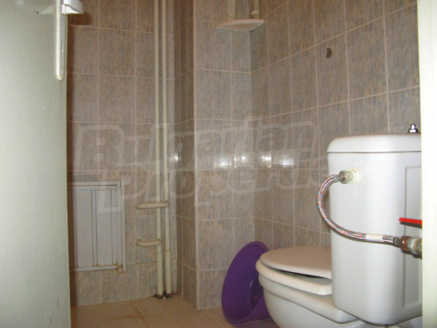 Gallery Picture 8