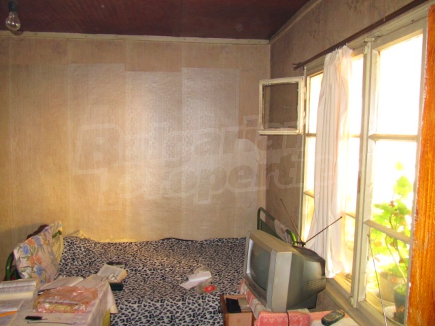Gallery Picture 12