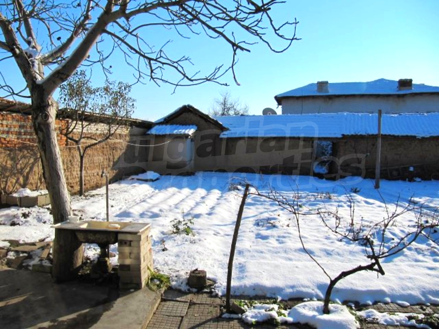 Gallery Picture 18