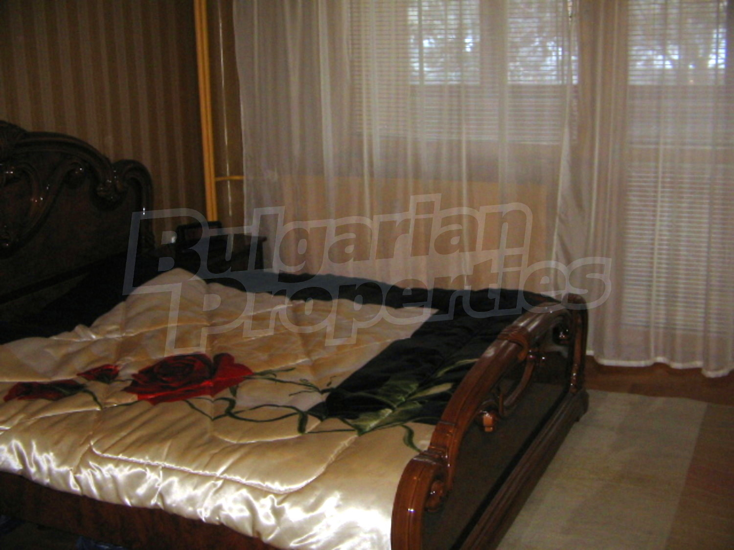 Gallery Picture 12