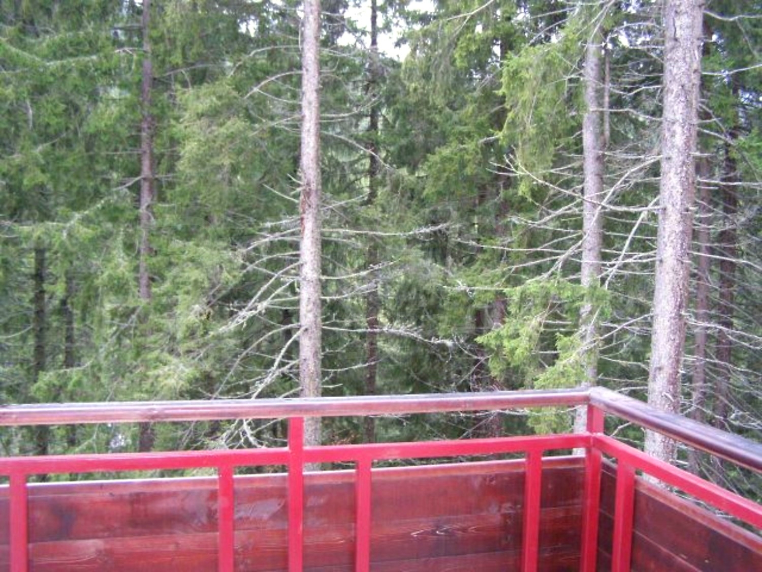 Gallery Picture 22