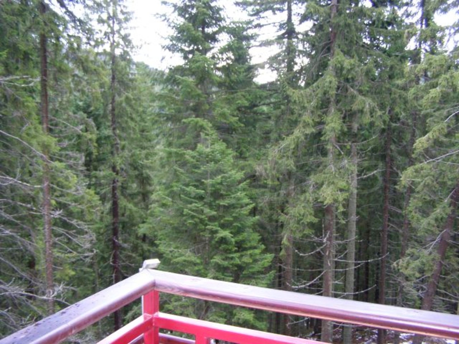 Gallery Picture 23