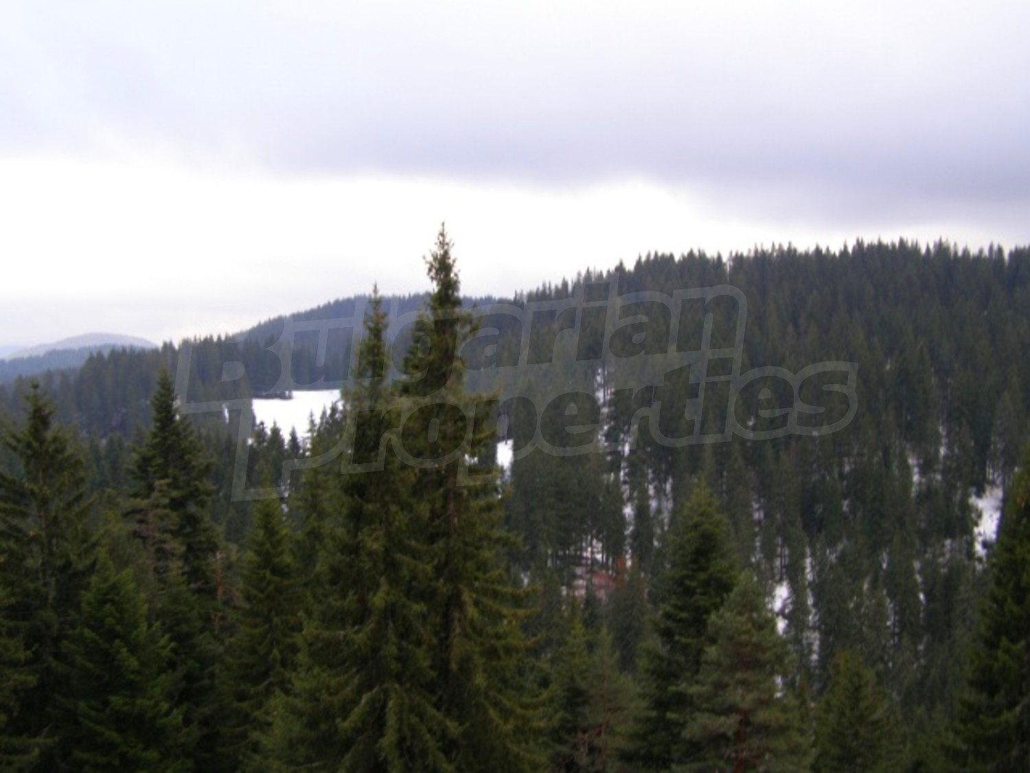 Gallery Picture 24