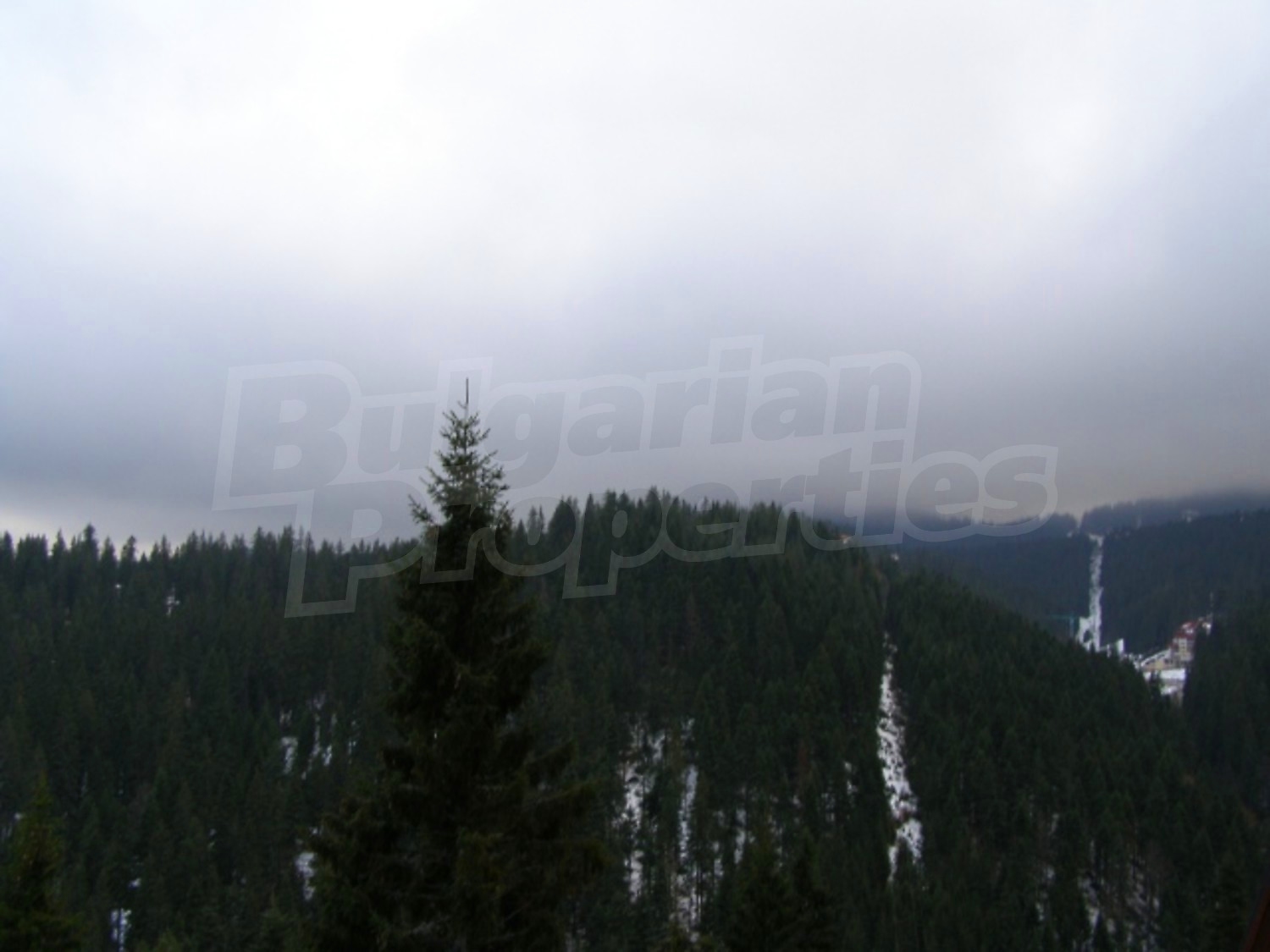 Gallery Picture 25
