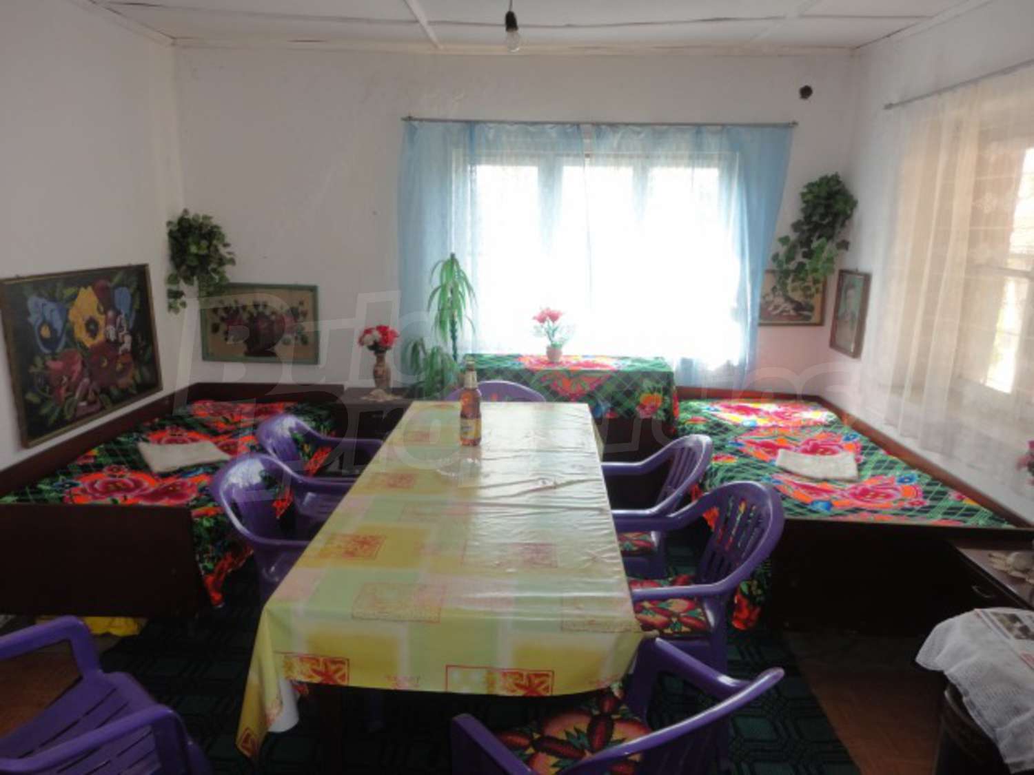 Gallery Picture 10
