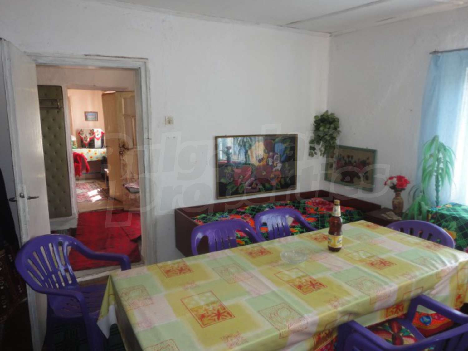 Gallery Picture 13