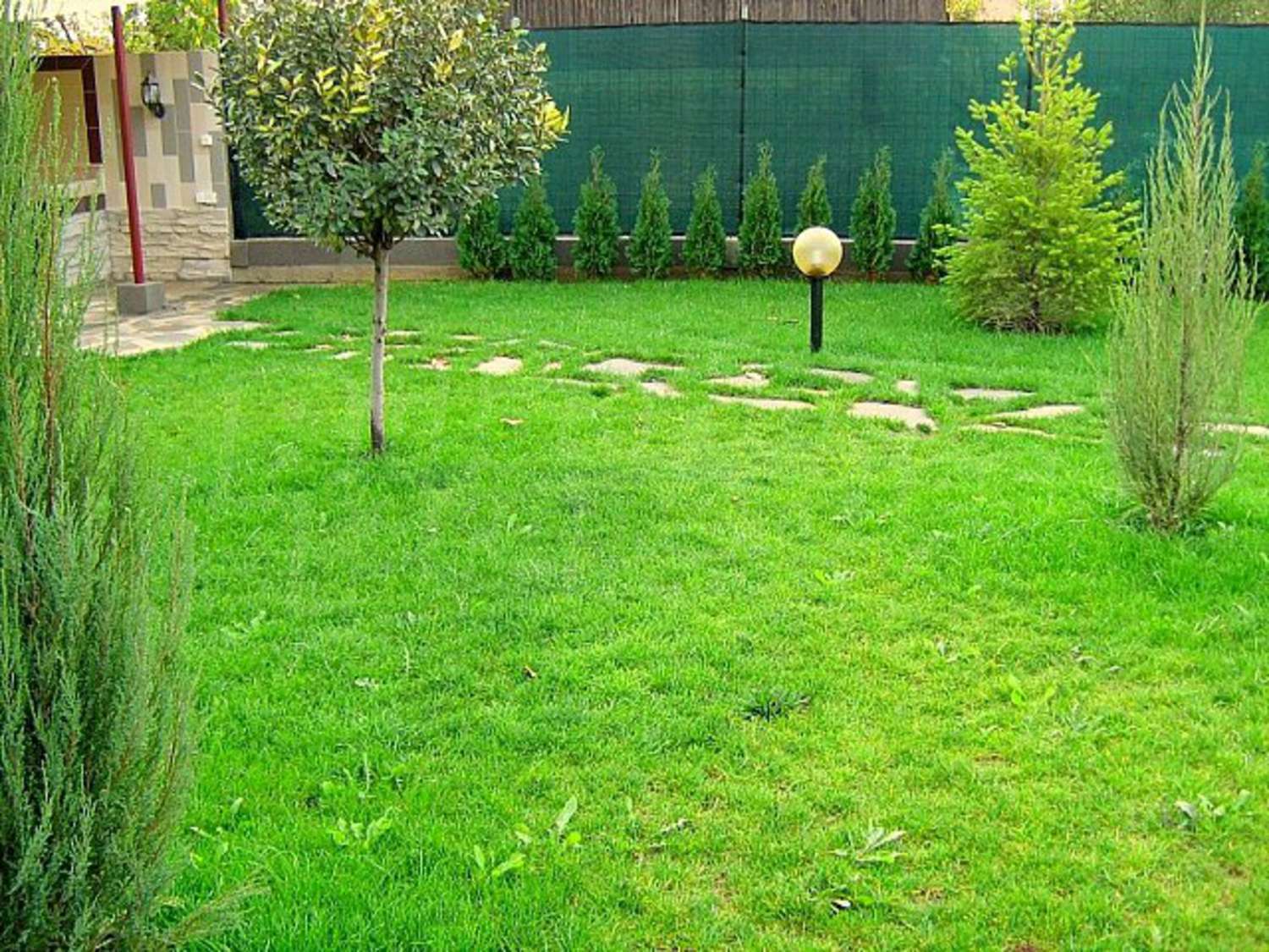 Gallery Picture 24