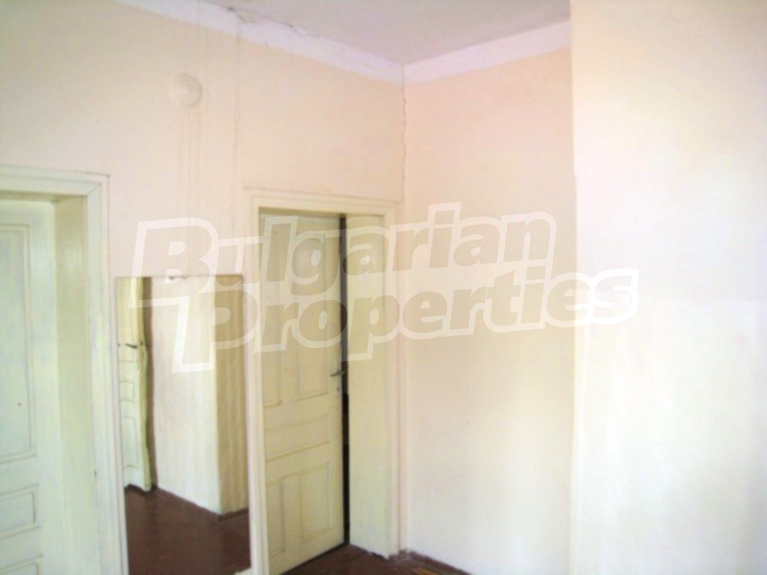 Gallery Picture 10