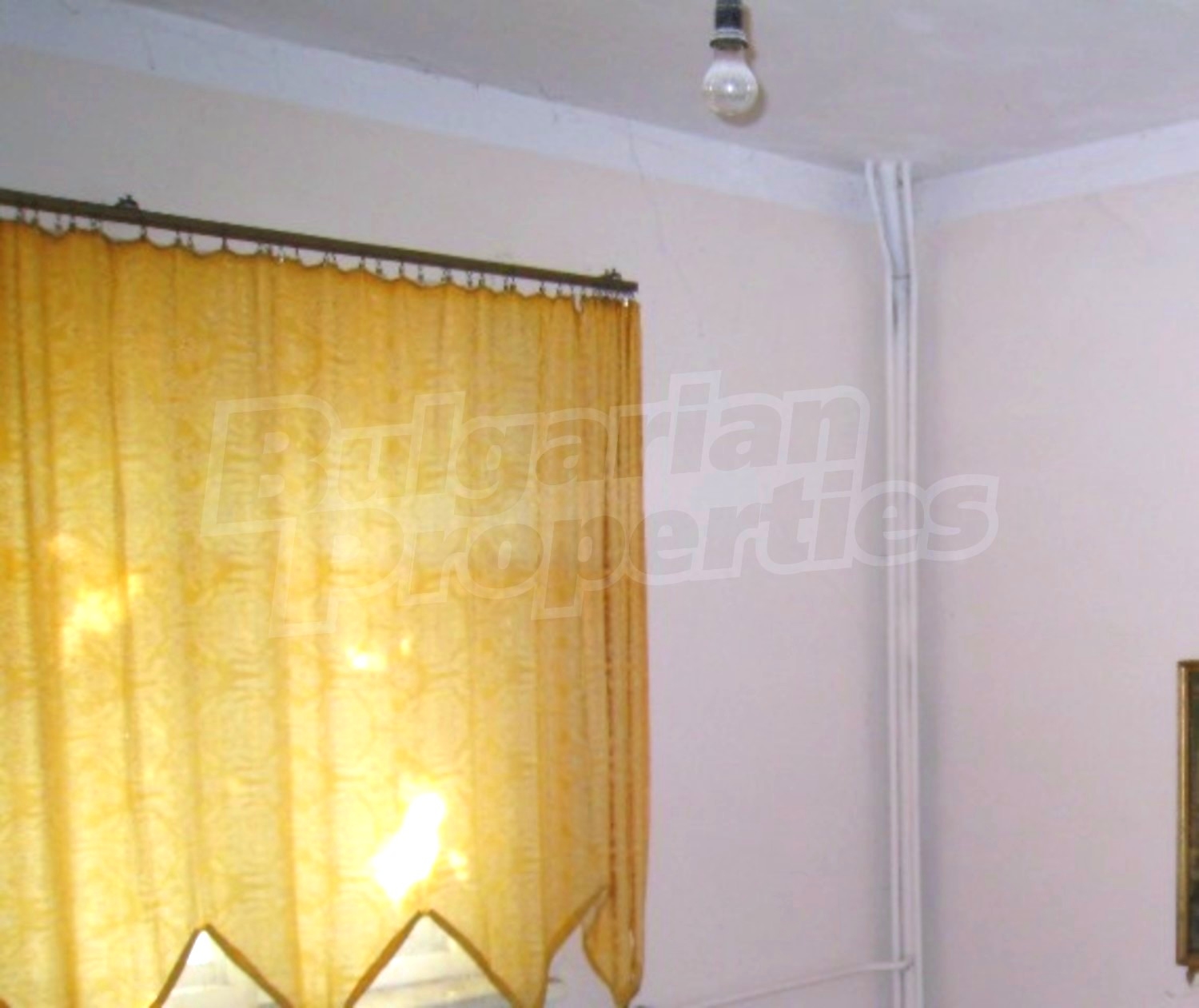 Gallery Picture 13