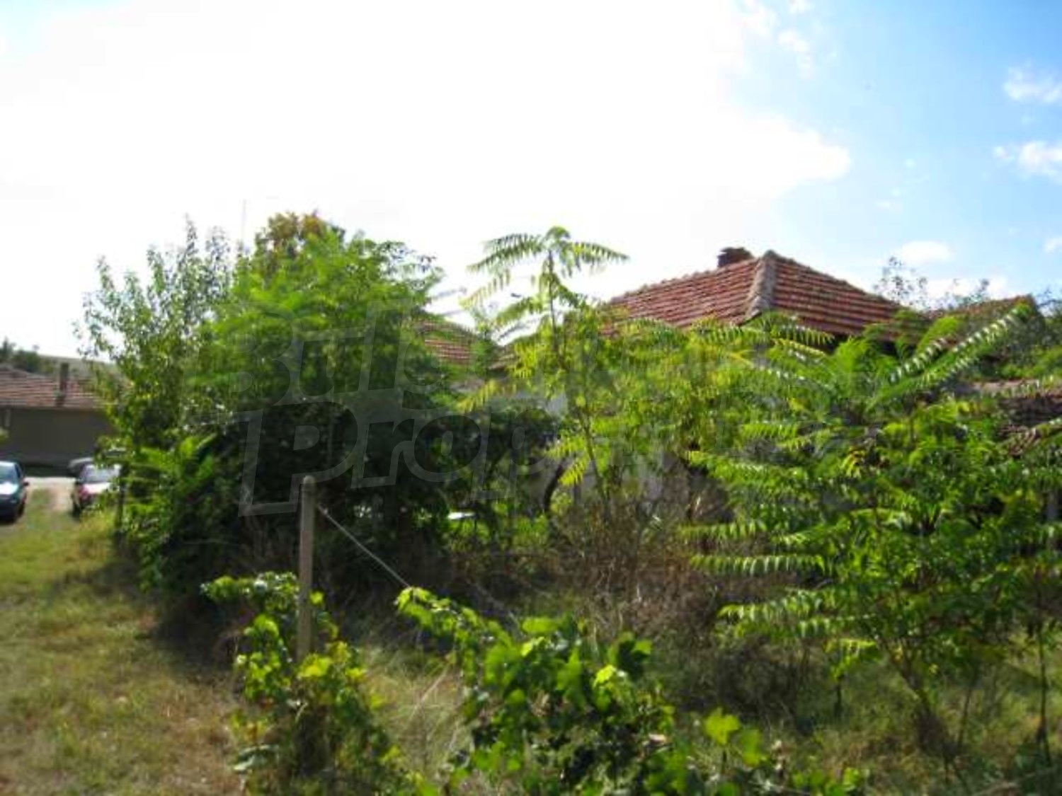 Gallery Picture 16