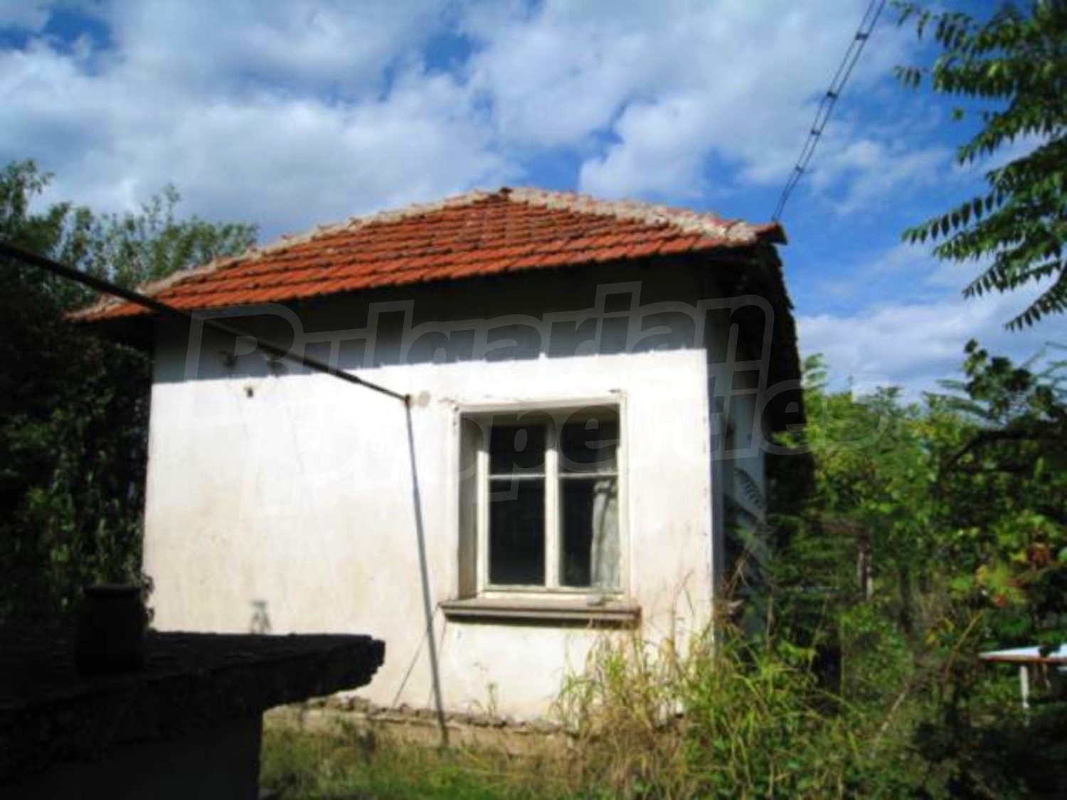 Gallery Picture 18