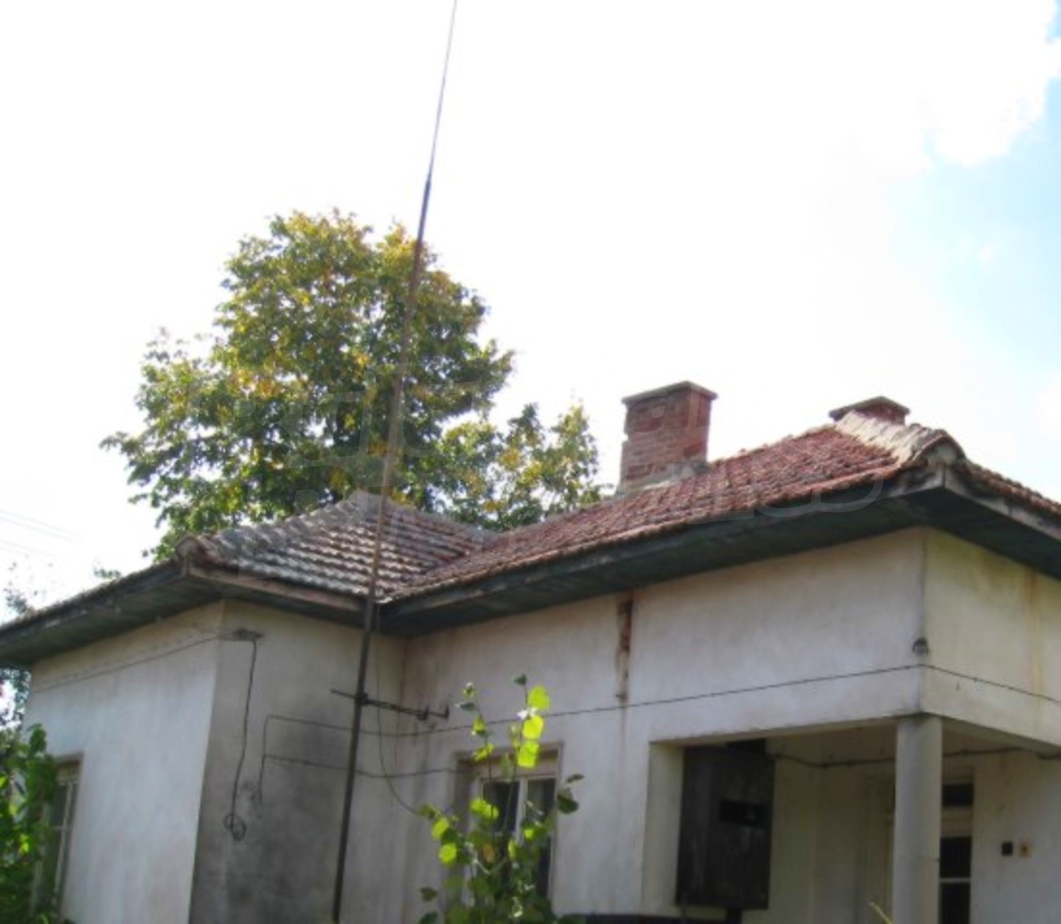 Gallery Picture 19
