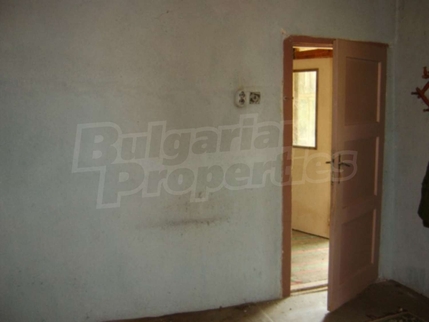 Gallery Picture 12