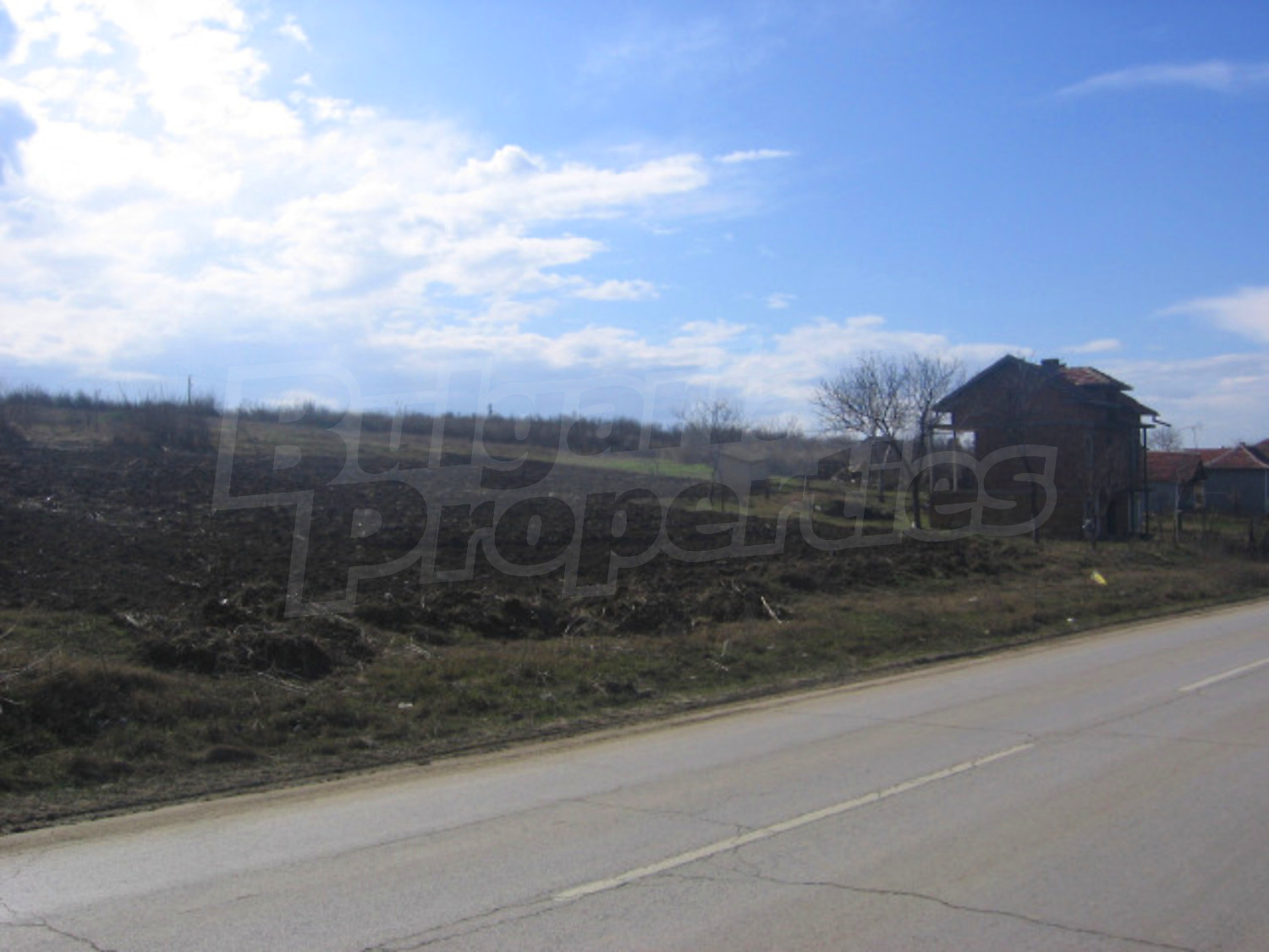 Gallery Picture 11