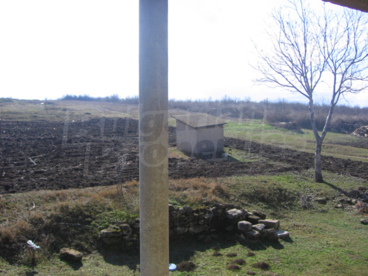 Gallery Picture 6