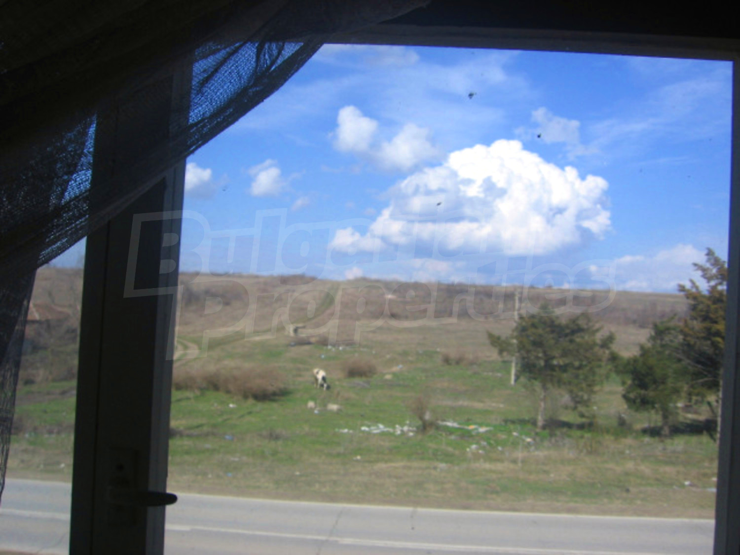 Gallery Picture 8