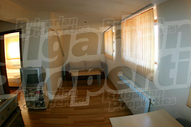 Gallery Picture 10