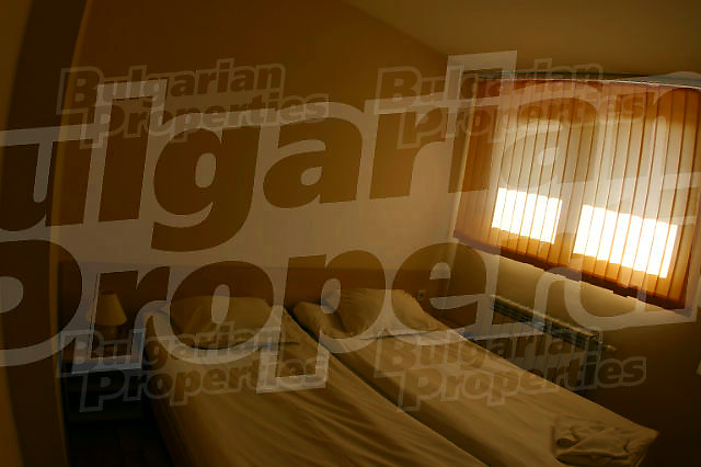 Gallery Picture 11